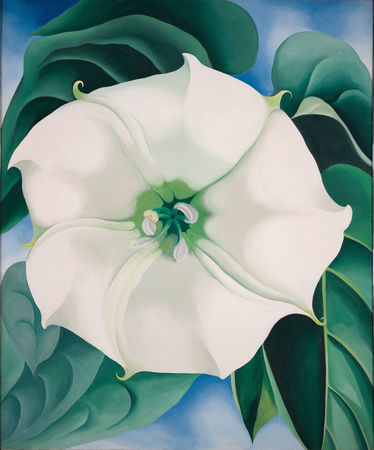 Jimson Weed - Georgia O’Keeffe
