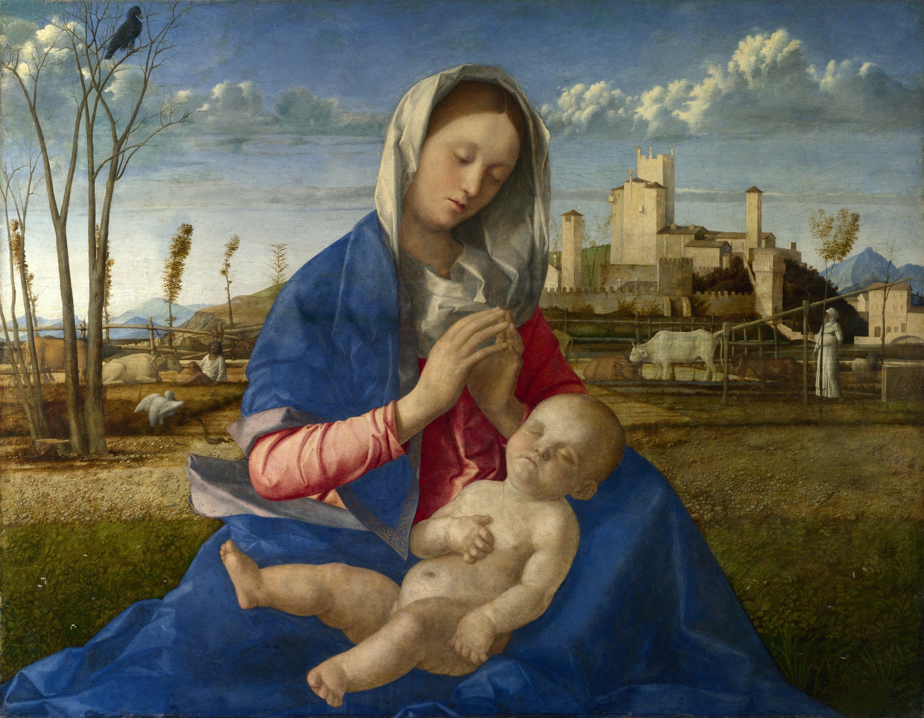 Giovanni Bellini