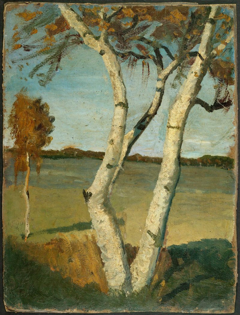 Birch Tree in a Landscape (1899) - Paula Modersohn-Becker