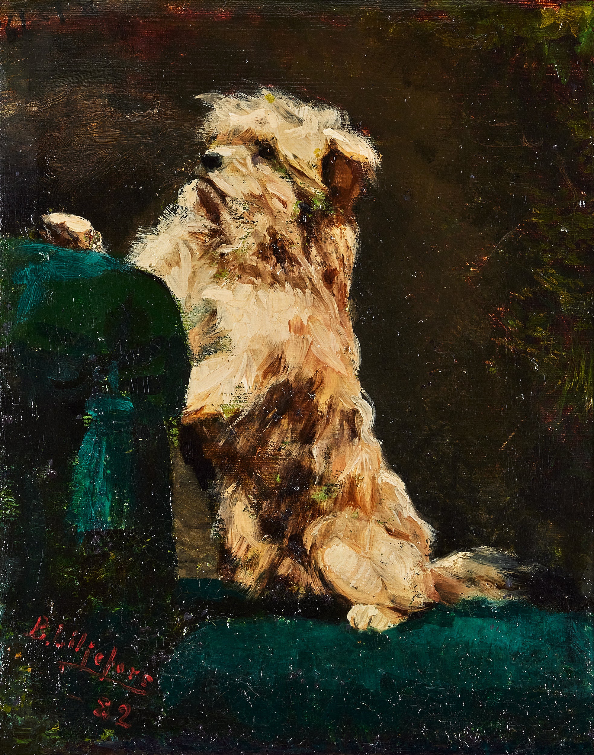 अली - ब्रूनो लिलजेफोर्स