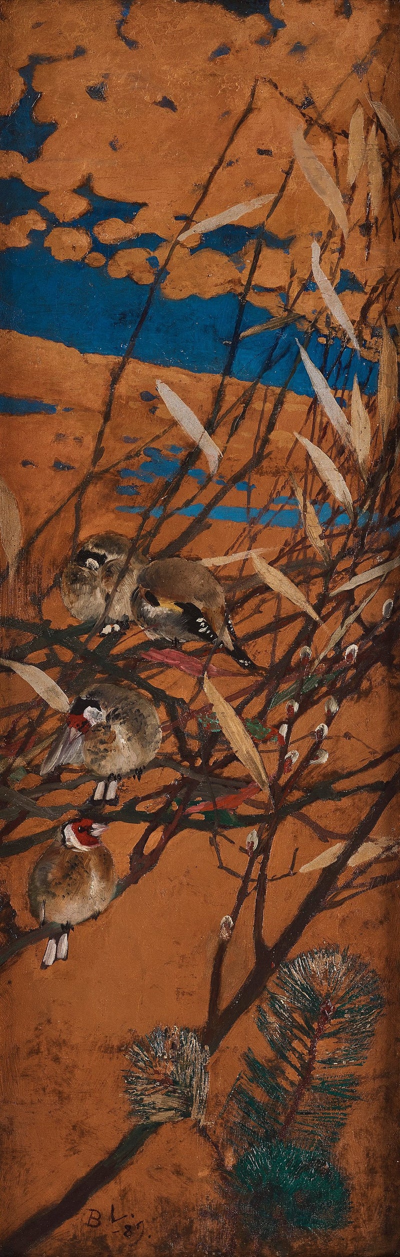 गोल्डफिंच - ब्रूनो लिलजेफोर्स