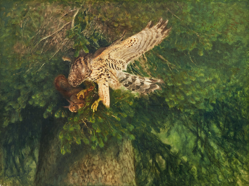 जंगली कबूतरों और गिलहरियों के आसपास - ब्रूनो लिलजेफोर्स