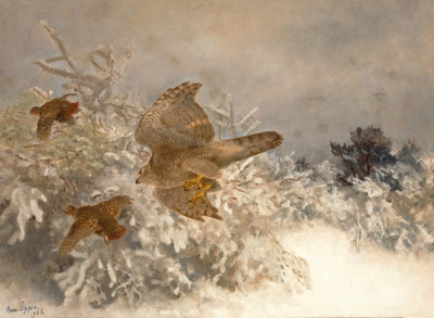 सर्दियों के परिदृश्य में जंगली कबूतरों के आसपास - ब्रूनो लिलजेफोर्स