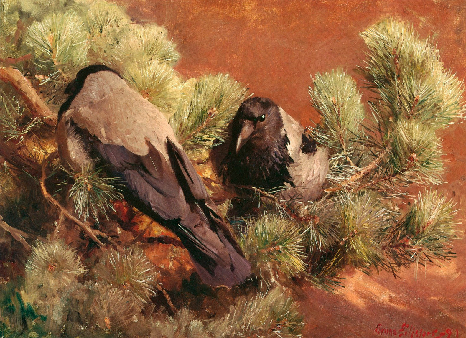 हूडेड रेवेन्स - ब्रूनो लिल्जेफ़ोर्स