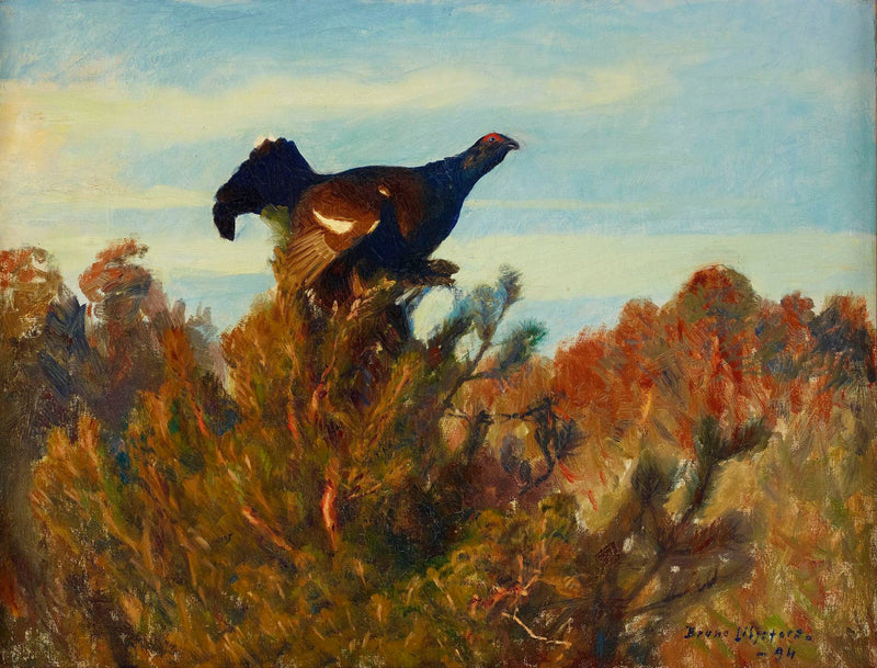 ब्लैक ग्राउज़ - ब्रूनो लिल्जेफ़ोर्स