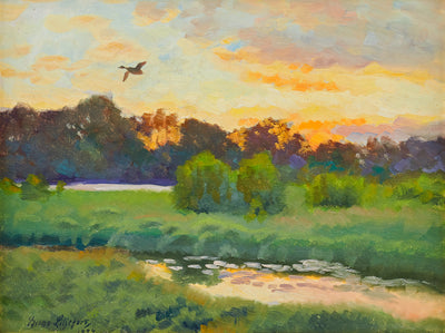 फैला हुआ समुद्री पक्षी - ब्रूनो लिल्जेफ़ोर्स