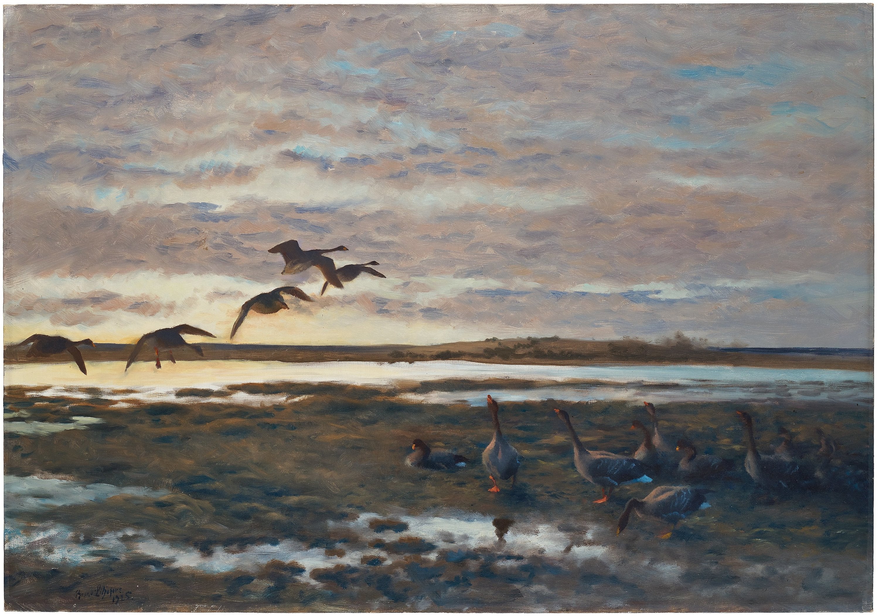 खेत में जंगली हंस - ब्रूनो लिलजेफोर्स