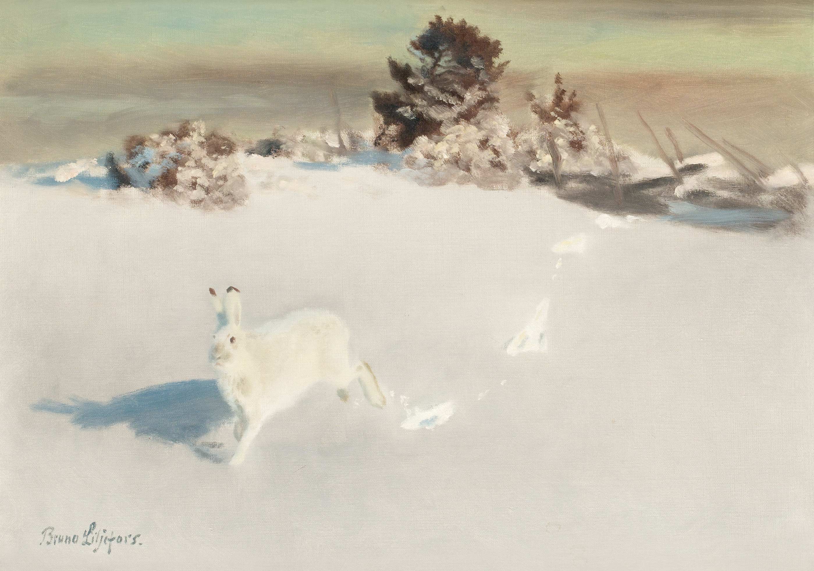 Q135437736 - ब्रूनो लिलजेफोर्स