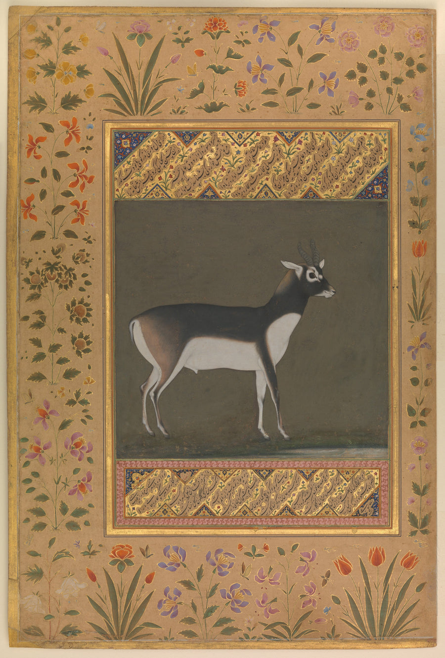 "Black Buck", Folio from the Shah Jahan Album - Manohar