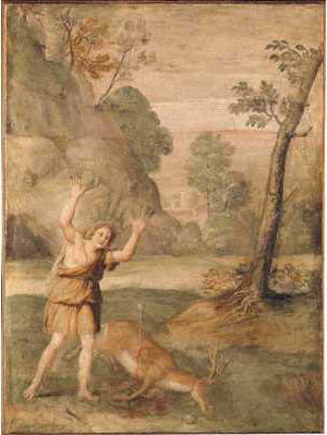 La transformation de Cyparissus - Domenichino - Alpha Reproduction