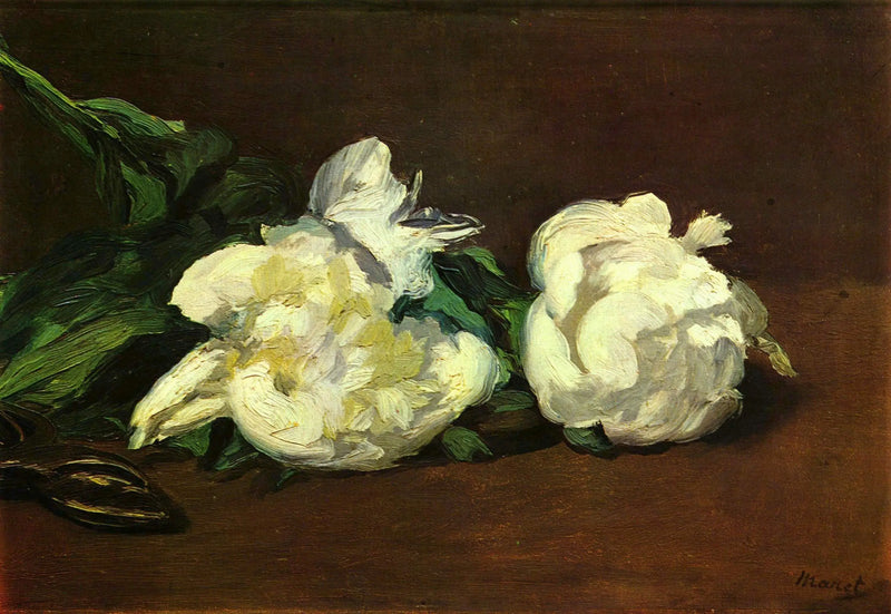 सफेद पीओनी की शाखा और कैंची - Édouard Manet