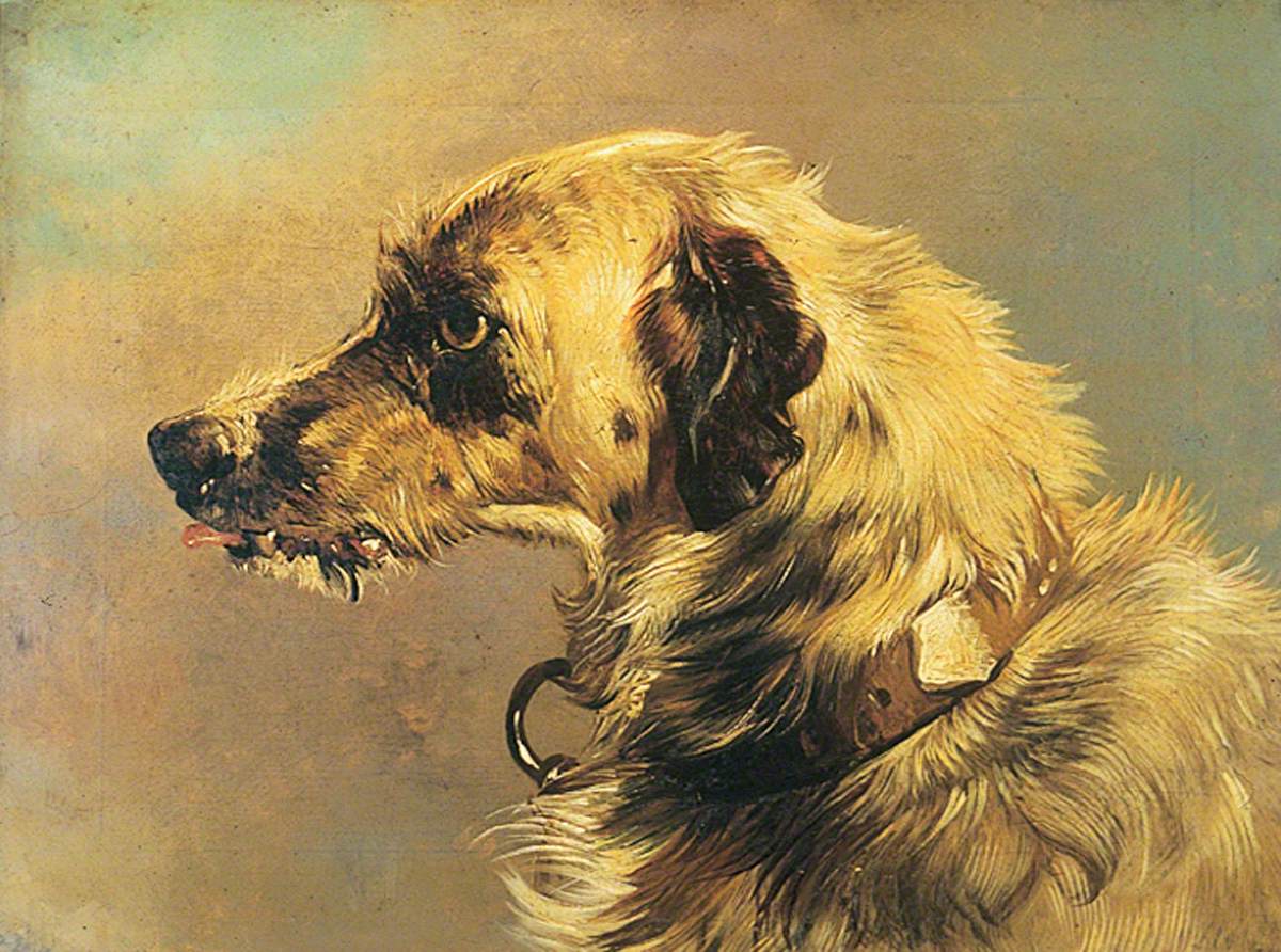 Tête d'un chien courant - Edwin Henry Landseer