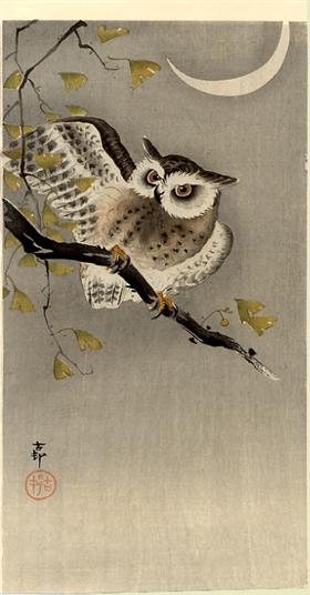 Chouette sur une branche - Ohara Koson
