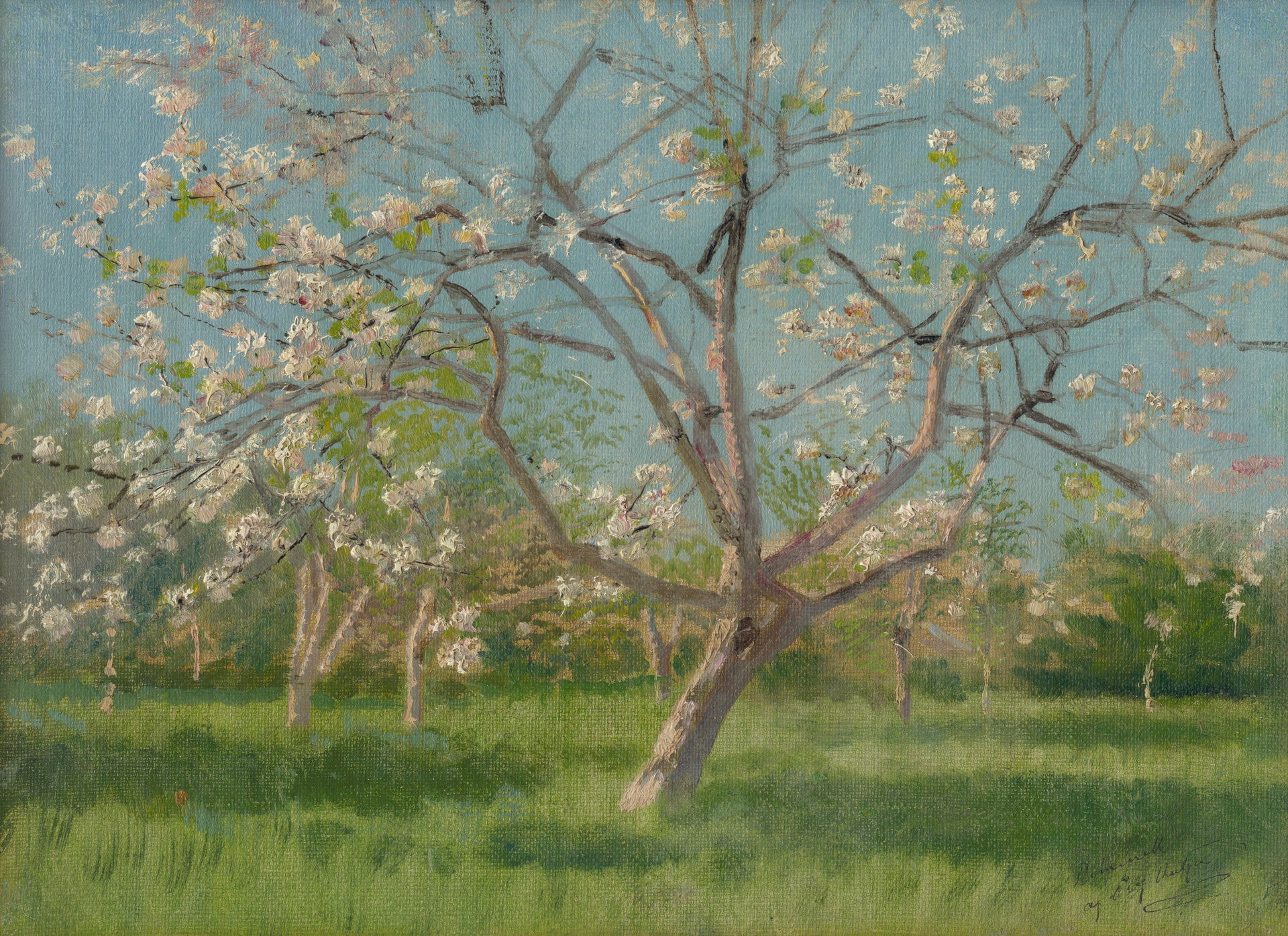 Étude d’arbres en fleurs dans un verger, peinture de László Mednyánszky