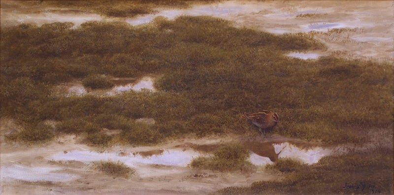 स्नाइप - ब्रूनो लिलजेफोर्स