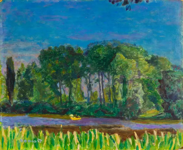 सीन के किनारे - पियरे बोनार्ड