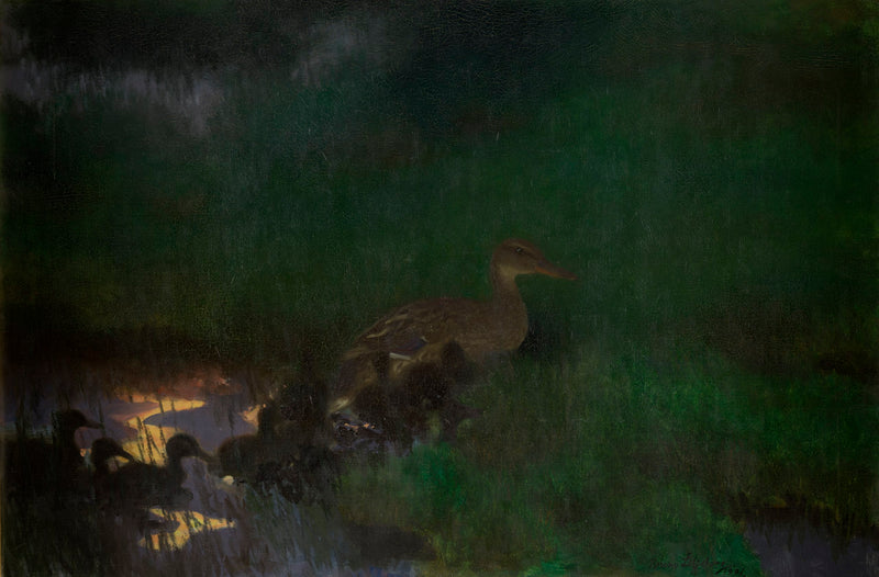 जंगली बत्तखों का झुंड - ब्रूनो लिलजेफोर्स