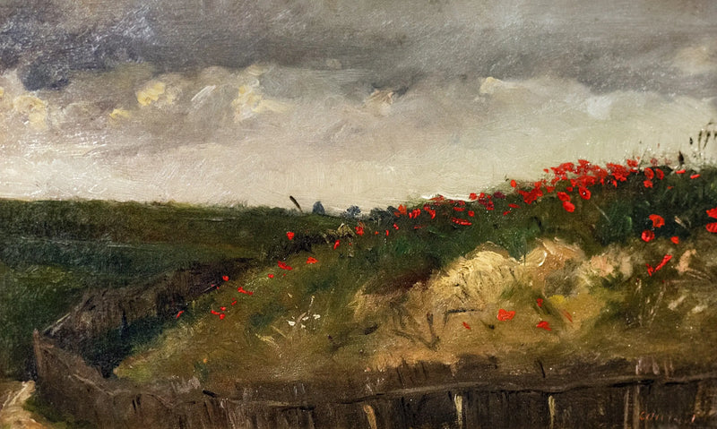 कोquelicots - Gustave Courbet