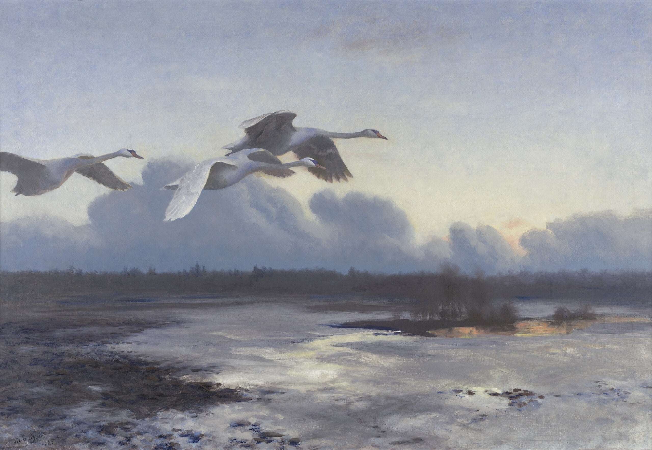 Q43084881 - ब्रूनो लिलजेफोर्स