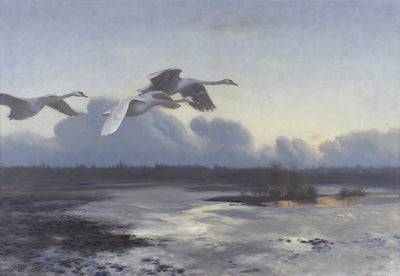 Q43084881 - ब्रूनो लिलजेफोर्स