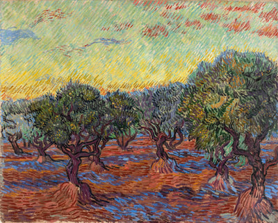 Oliveraie Saint-Rémy - Vincent van Gogh - Alpha Reproduction