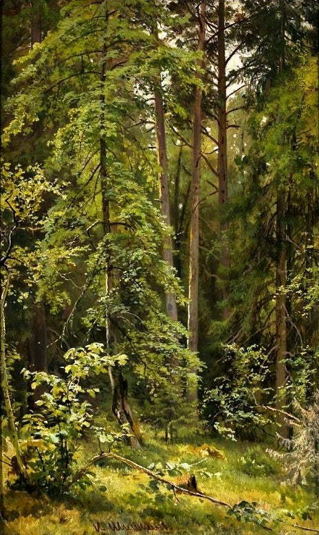 Une forêt - Ivan Chichkine