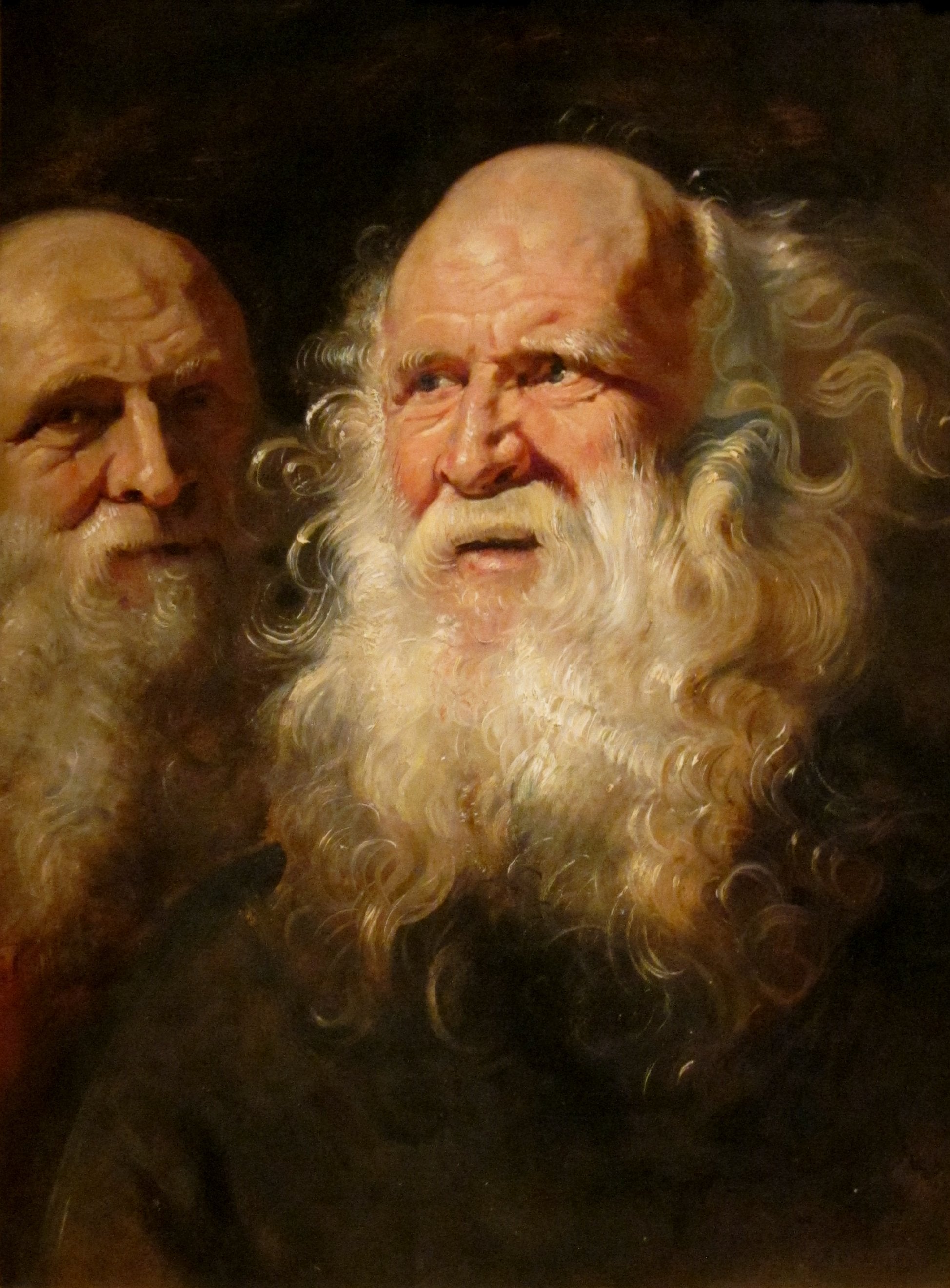 Étude de deux vieillards barbus - Peter Paul Rubens