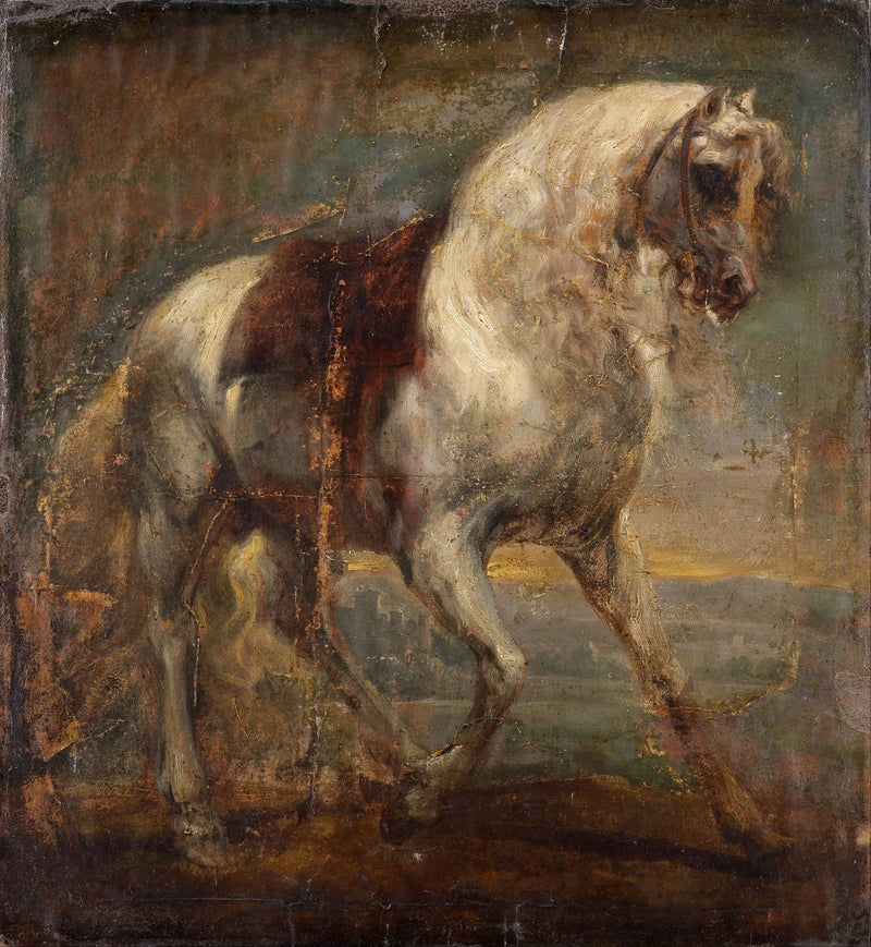 एक ग्रे घोड़ा - Antoine van Dyck