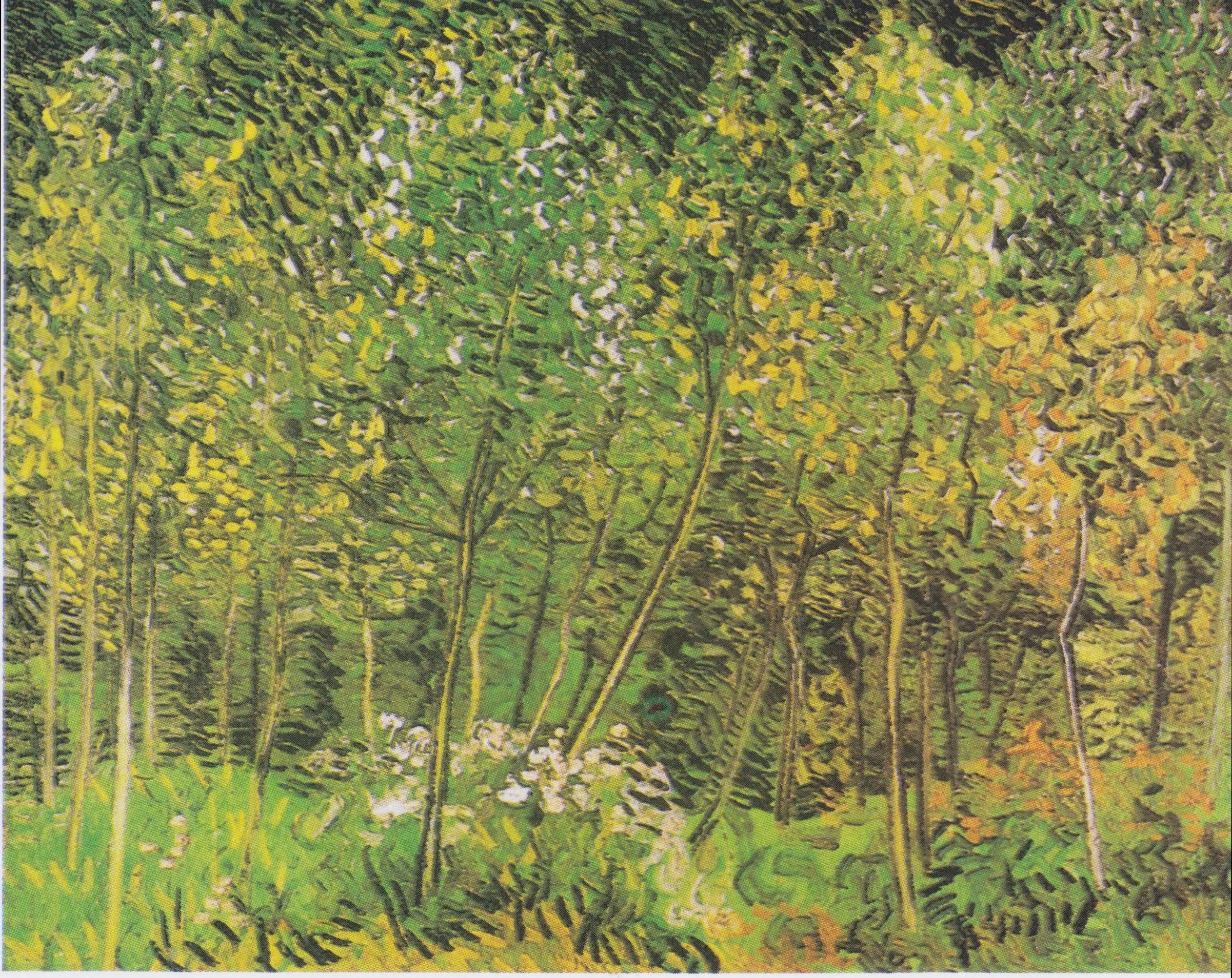 Reproduction du tableau « Le Bosquet - Vincent van Gogh » par Alpha Reproduction en peinture à l’huile
