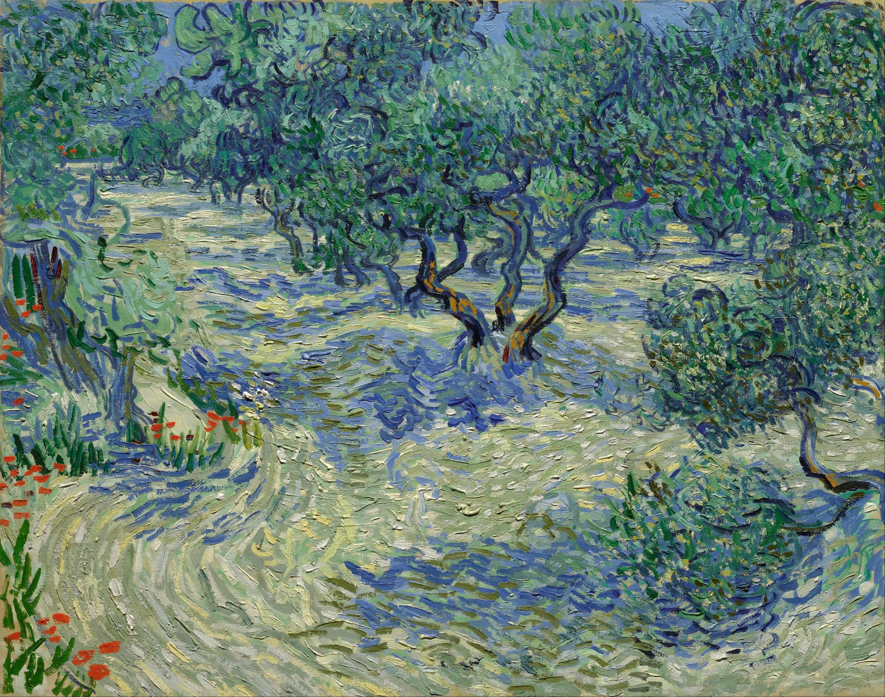 Reproduction du tableau « Oliveraie - Vincent van Gogh » par Alpha Reproduction en peinture à l’huile