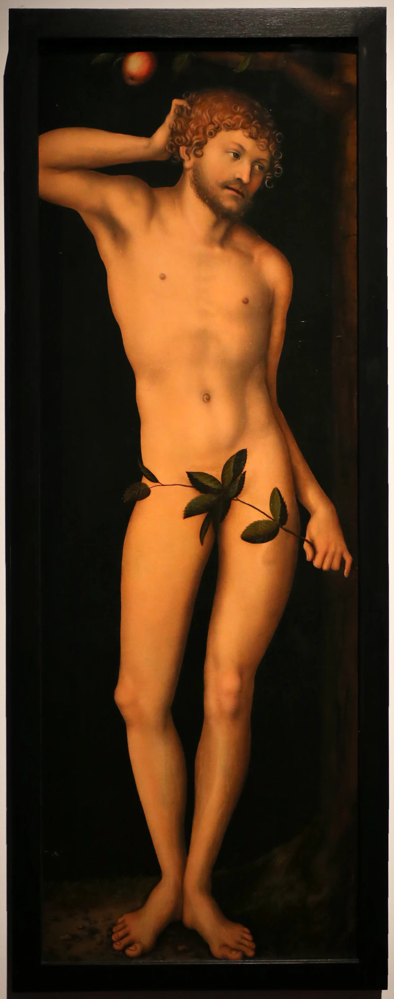 Adam - Lucas Cranach l'Ancien