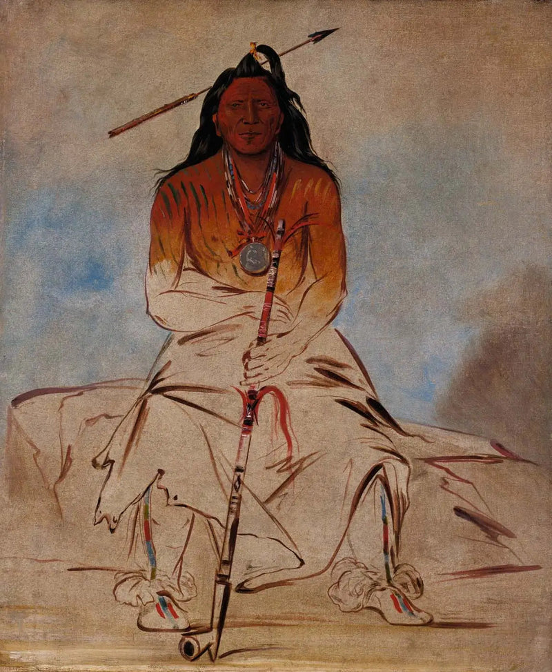 अह-शॉ-वॉ-रूक्स-टे, चिकित्सा घोड़ा, एक महान बहादुर पावनी - जॉर्ज कैटलिन