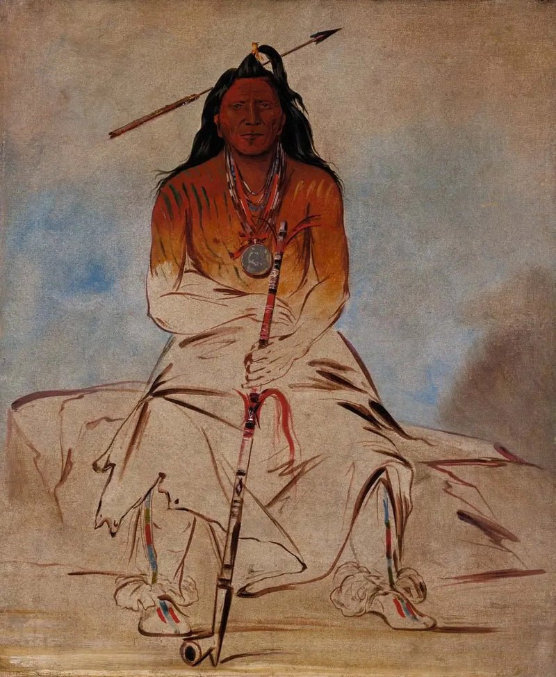 अह-शॉ-वॉ-रूक्स-टे, चिकित्सा घोड़ा, एक महान बहादुर पावनी - जॉर्ज कैटलिन