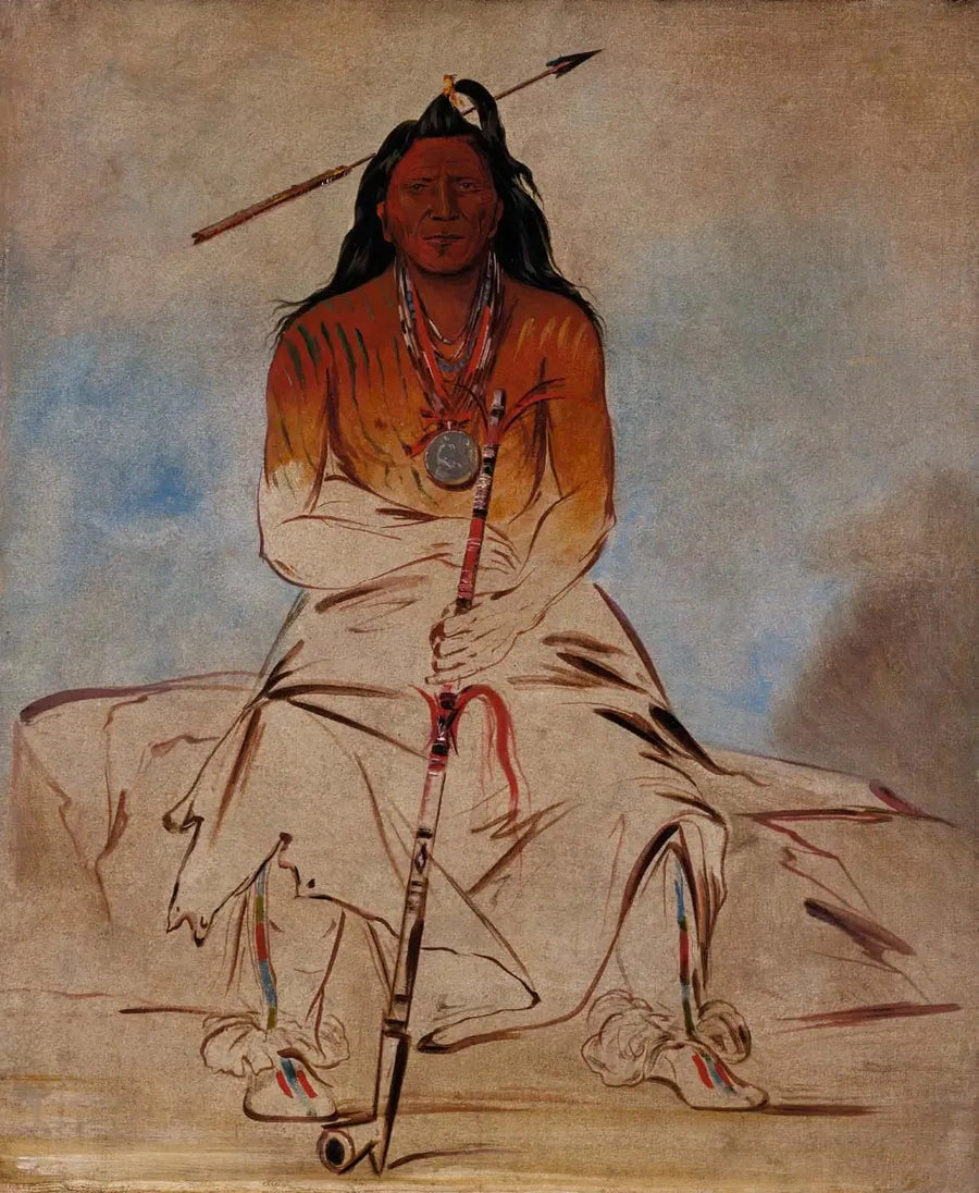 अह-शॉ-वॉ-रूक्स-टे, चिकित्सा घोड़ा, एक महान बहादुर पावनी - जॉर्ज कैटलिन
