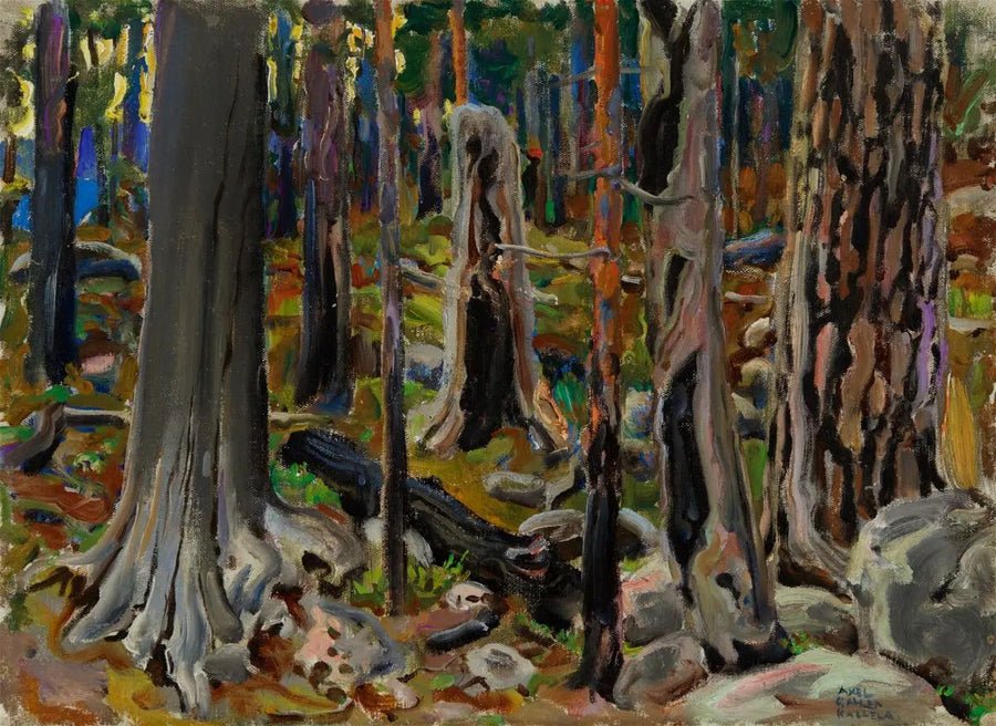 Forêt brûlée - Akseli Gallen-Kallela