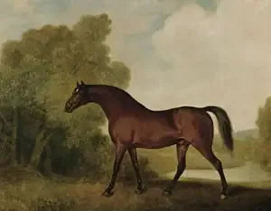 अम्ब्रोसियो, एक बैल का stallion, जो थॉमस हॉवर्थ का स्वामित्व है - जॉर्ज स्टब्स