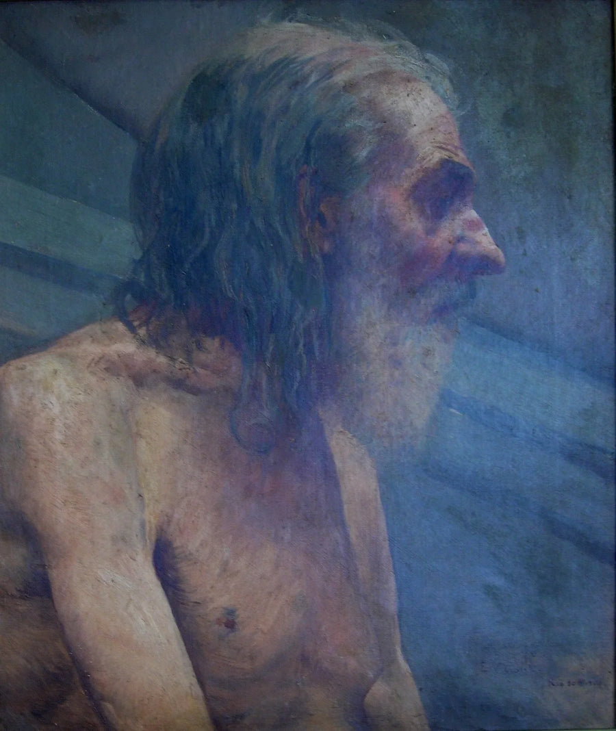 Ancióo - Eliseu Visconti