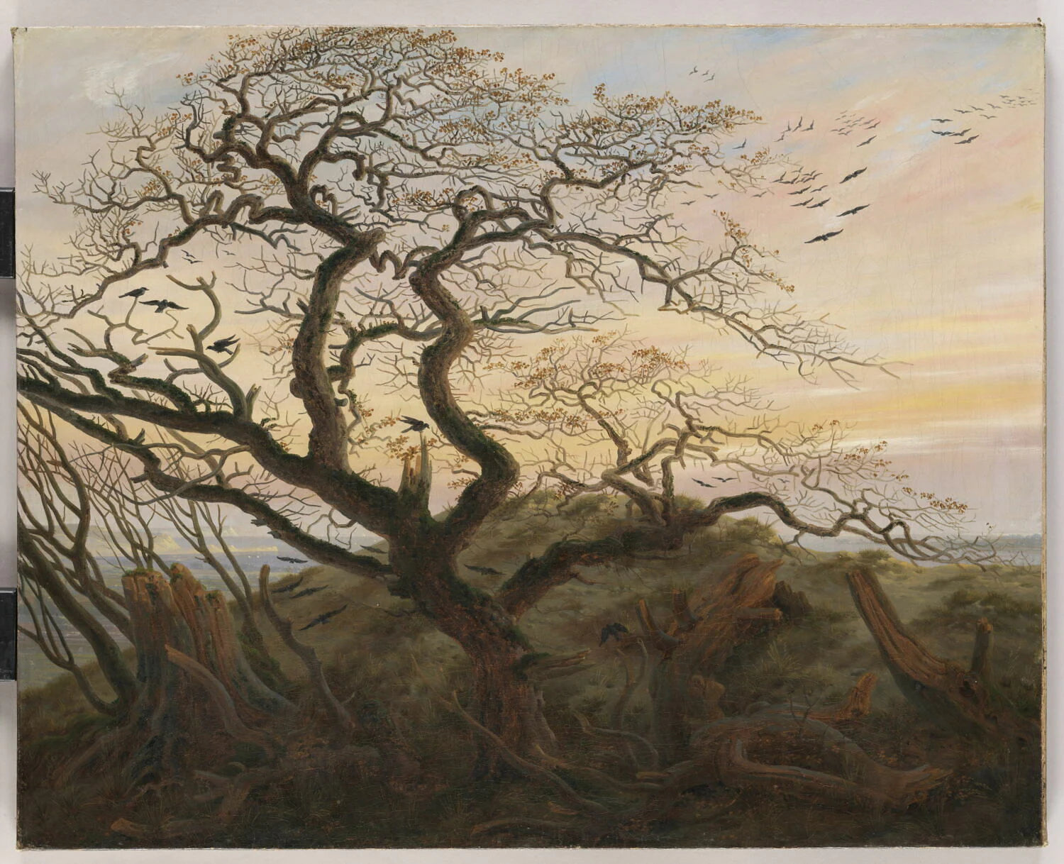 L'arbre aux corbeaux - Caspar David Friedrich