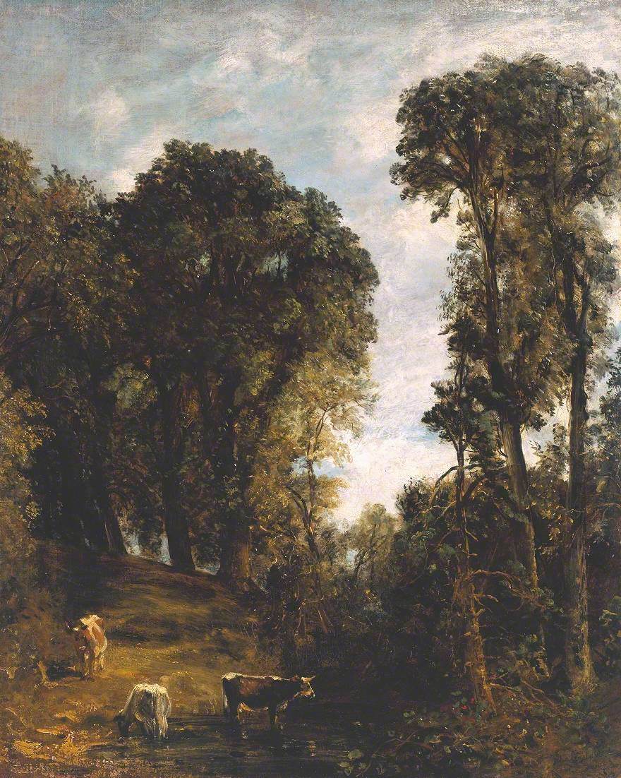 Arbres à Hampstead - John Constable - Alpha Reproduction
