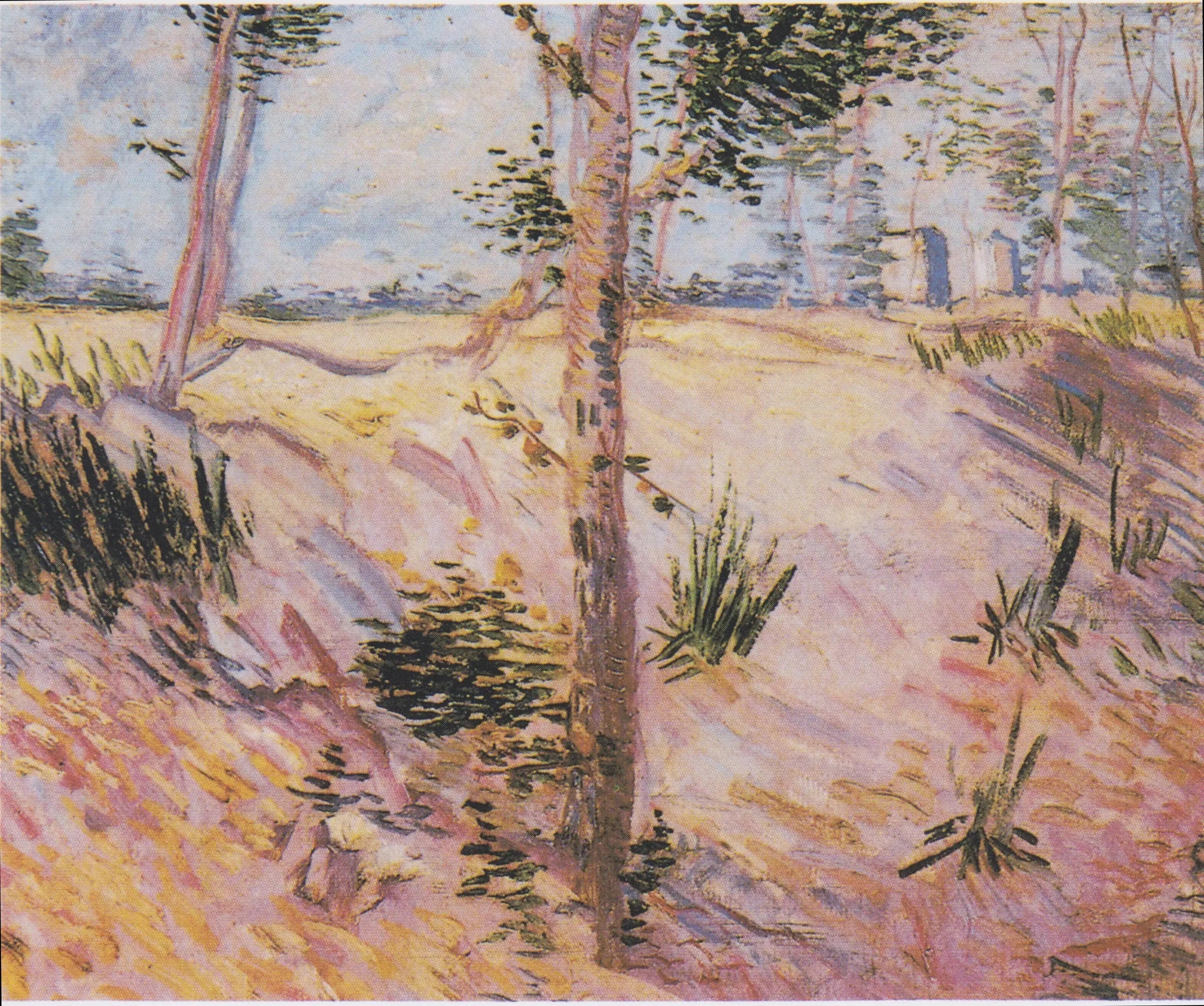 Arbres sur une pente - Vincent van Gogh image 1 tableau peint à l’huile sur toile