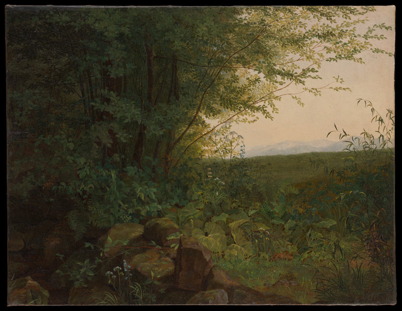 Au bord de la forêt - August Heinrich