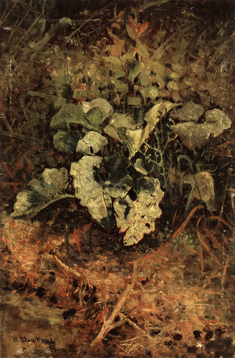 बारडाने - इवान चिच्किने