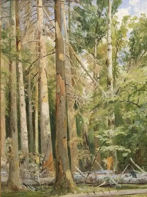 बेलोवेज़ - इवान चिचकिन