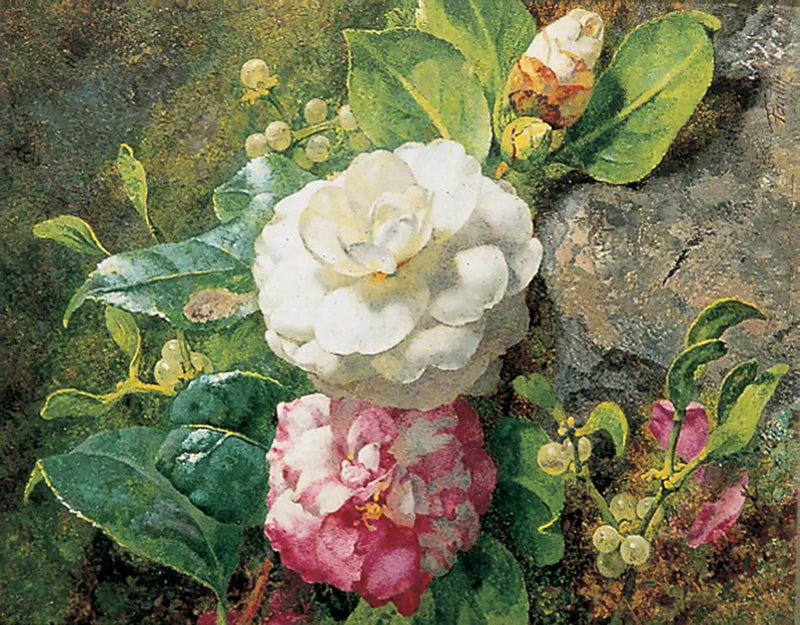 कैमेलियास - हेनरी फैंटिन-लाटूर