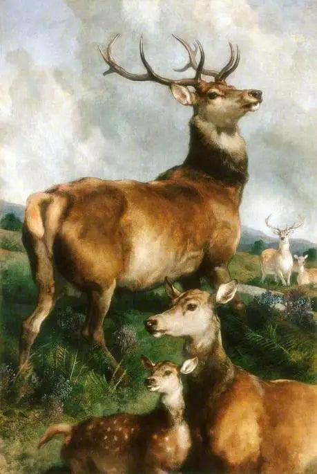 चिलिंगहैम पार्क के हिरण, नॉर्थंबरलैंड - एडविन हेनरी लैंडसीर