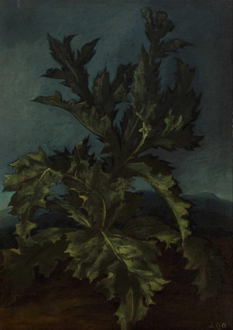 चार्डन - कार्लो डोलची