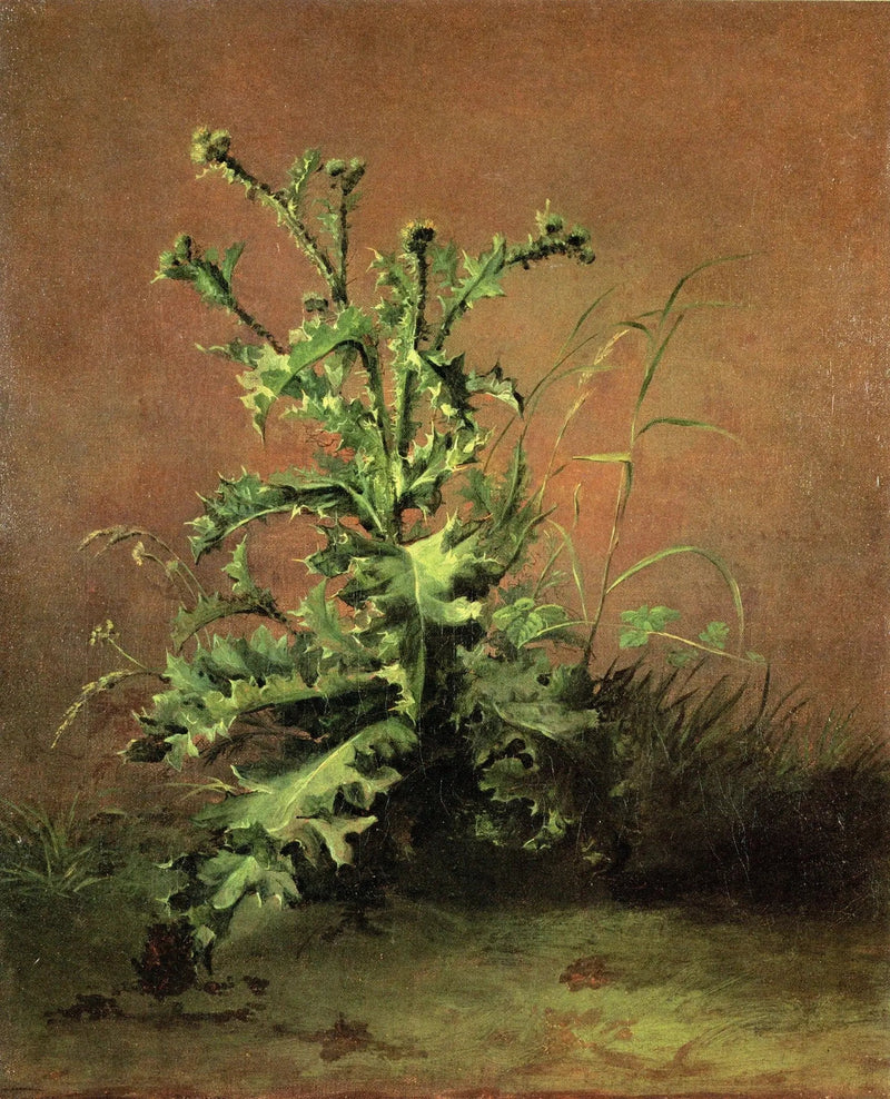 थिसल - Édouard Manet