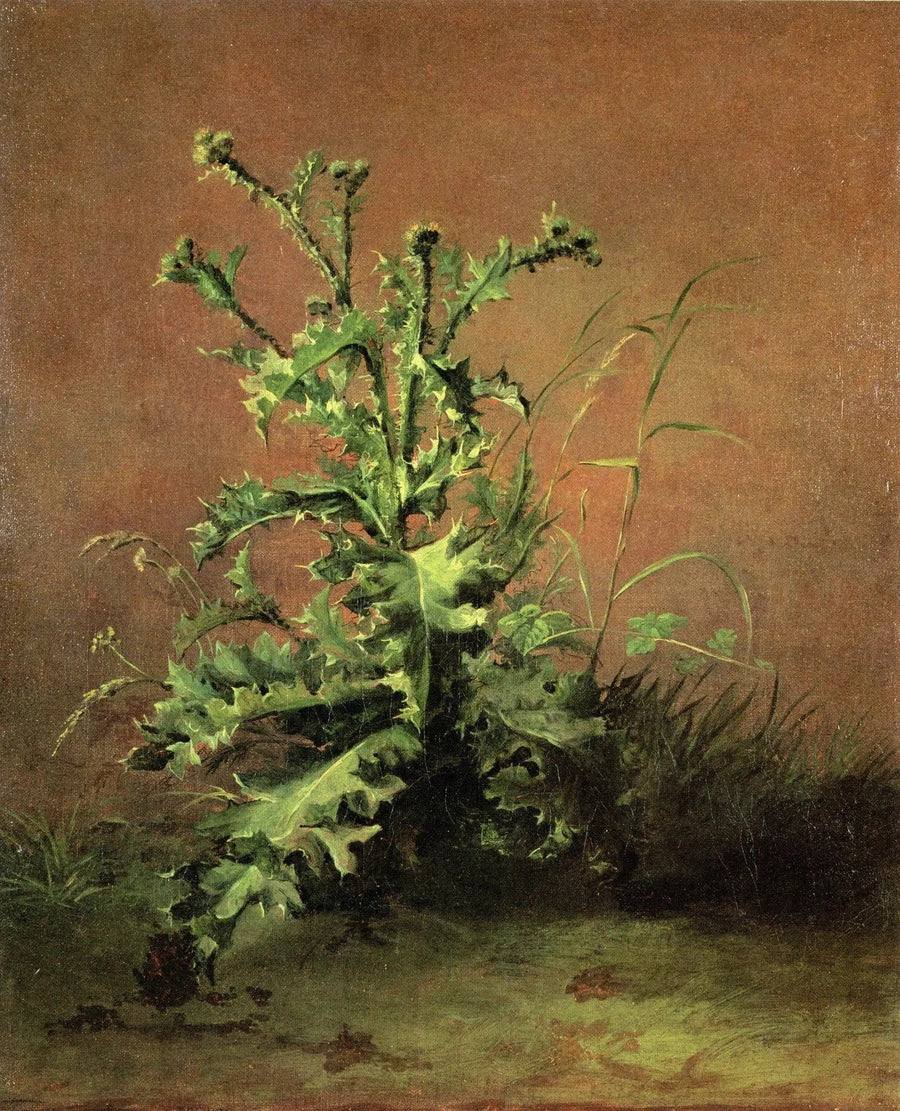 थिसल - Édouard Manet