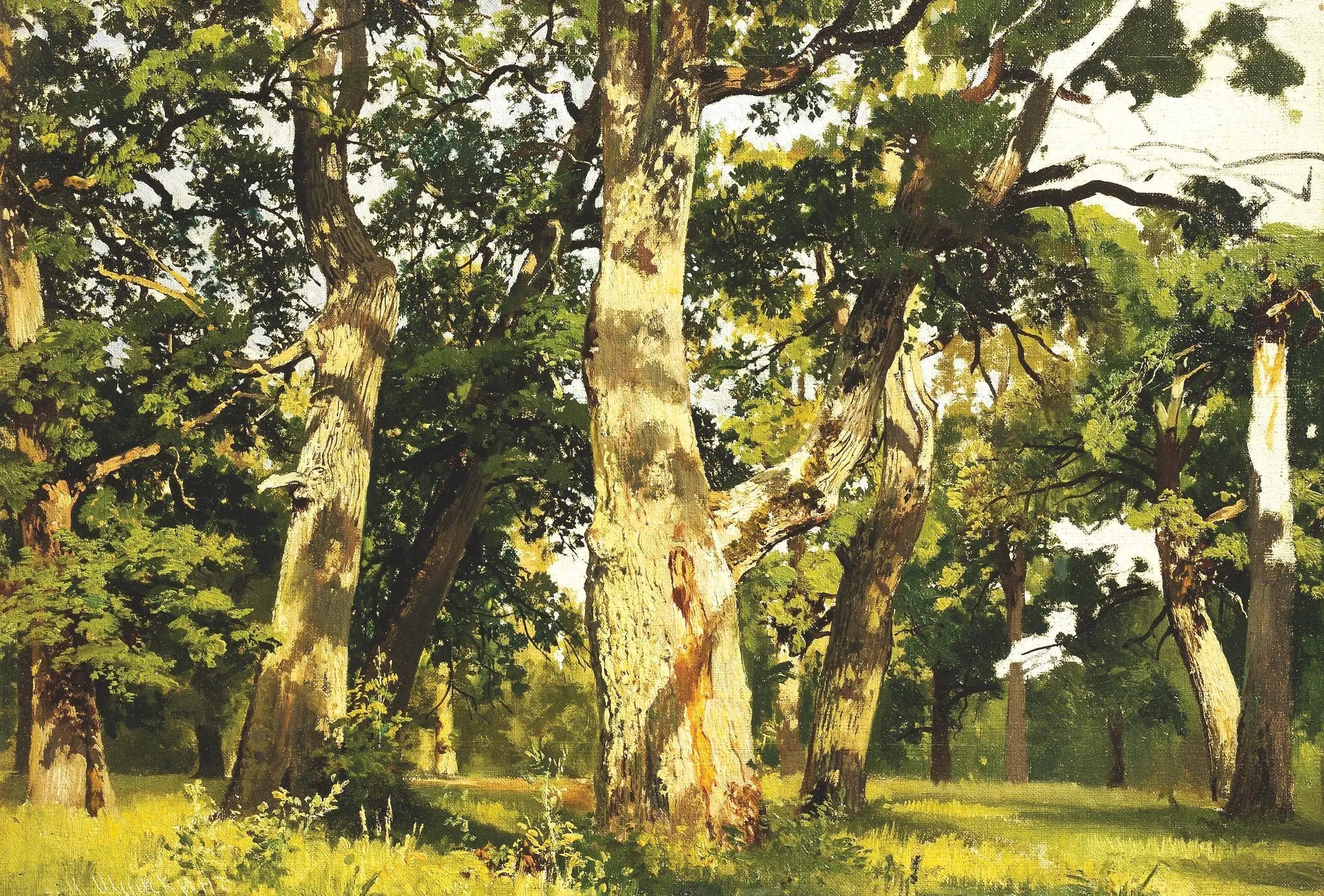 Chênes. Soir - Ivan Chichkine - Alpha Reproduction