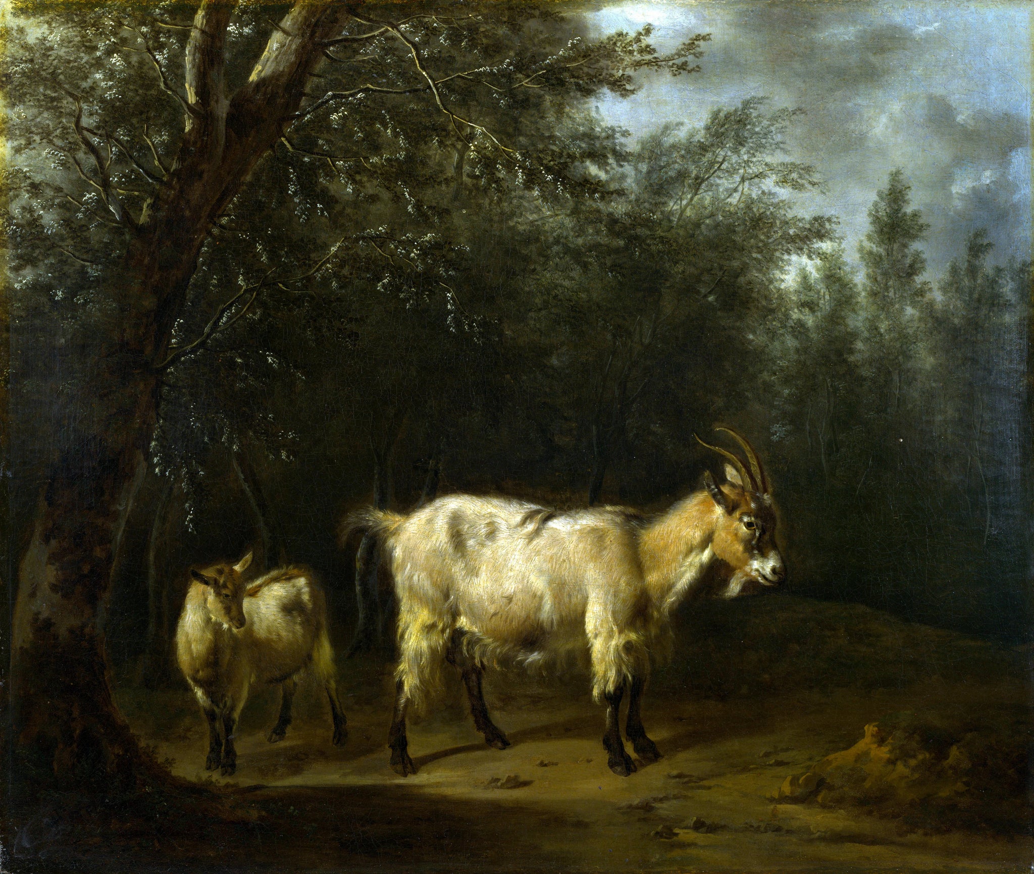 Une chèvre et un enfant - Adriaen van de Velde